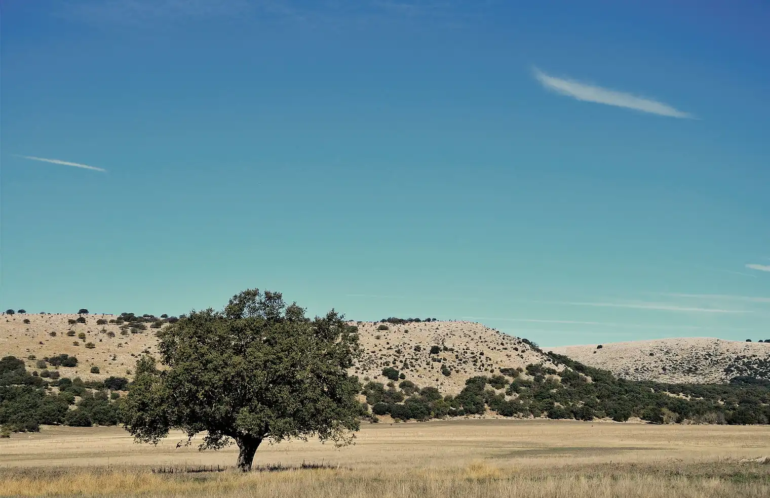 Ruta de la Nava y de las Chorreras del Río Bailón