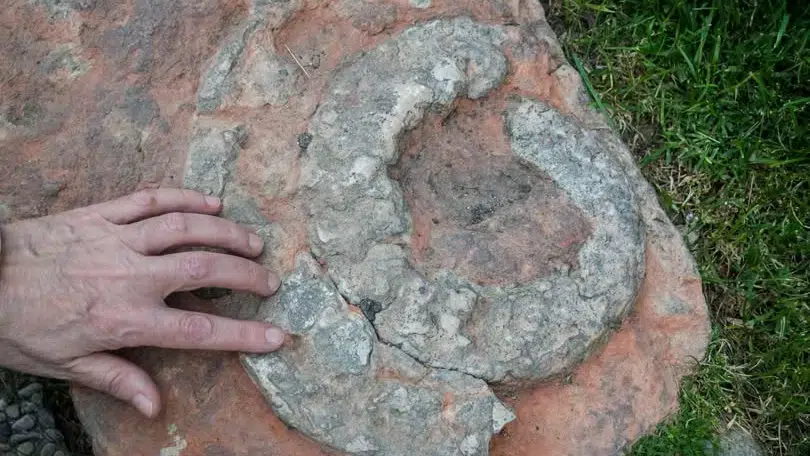 Ruta urbana de los fósiles de Cabra